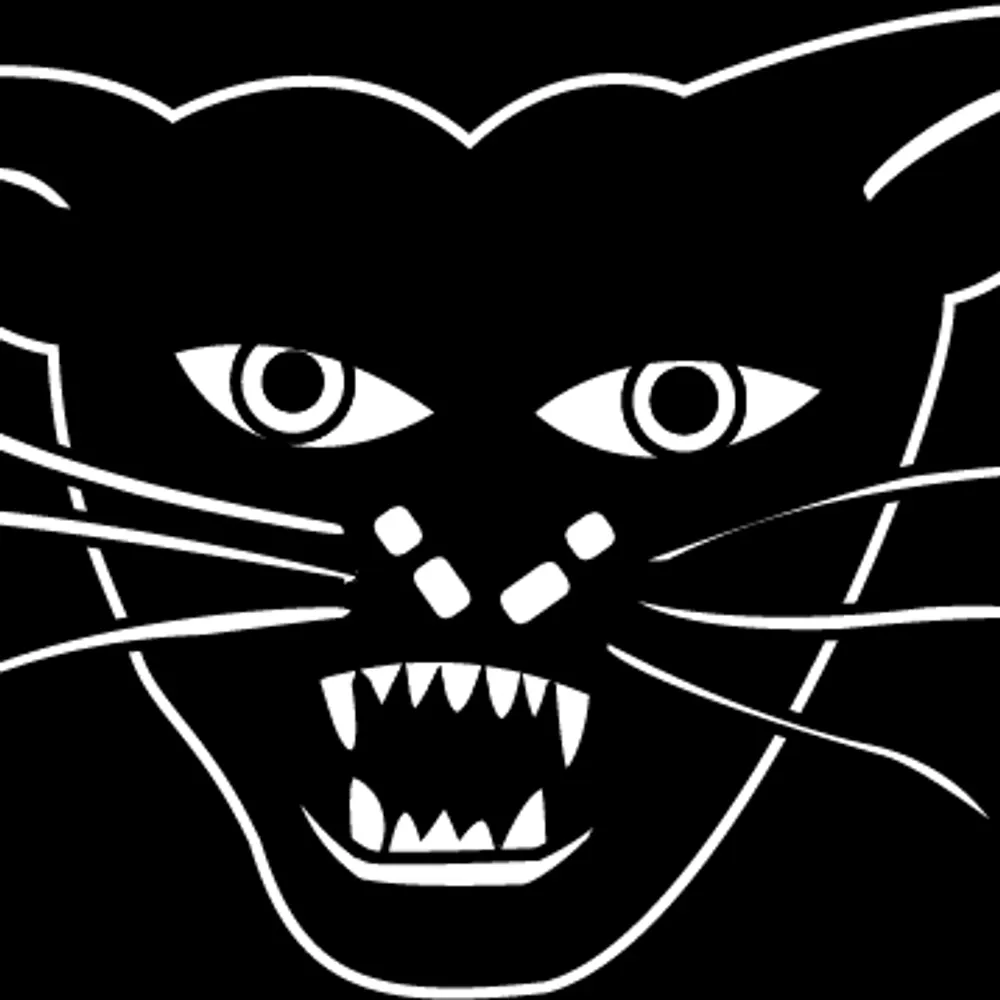 raydaman.bsky.social's profile picture