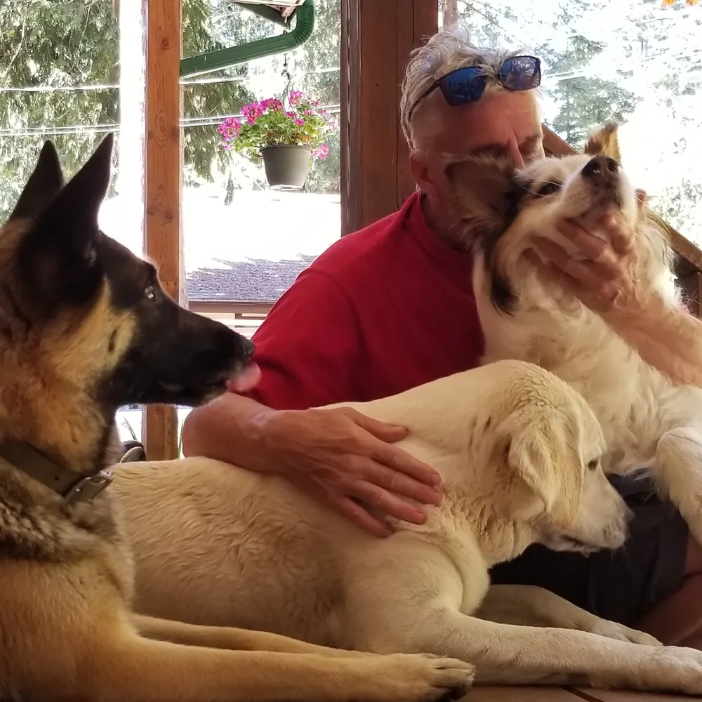 erbolduc.bsky.social's profile picture