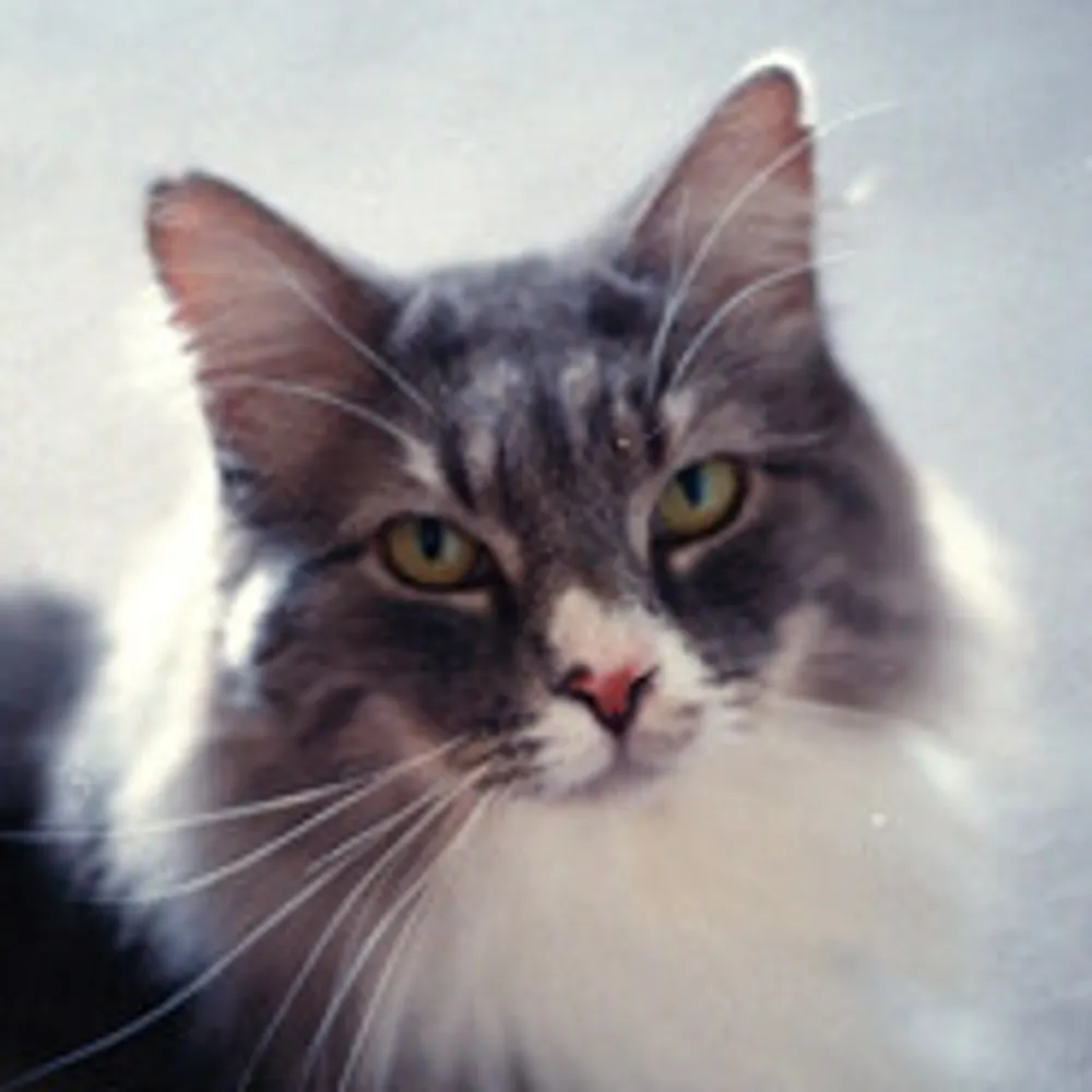 romod.ing's profile picture