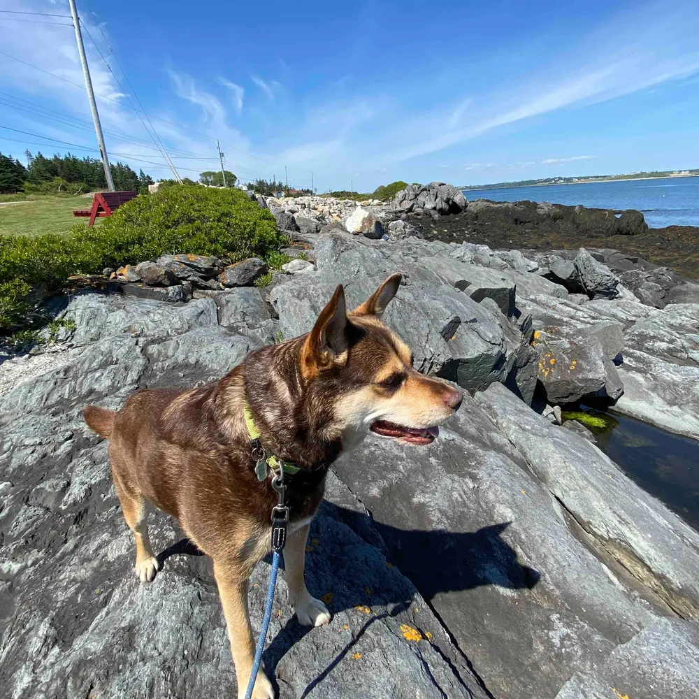 janciebe.bsky.social's profile picture