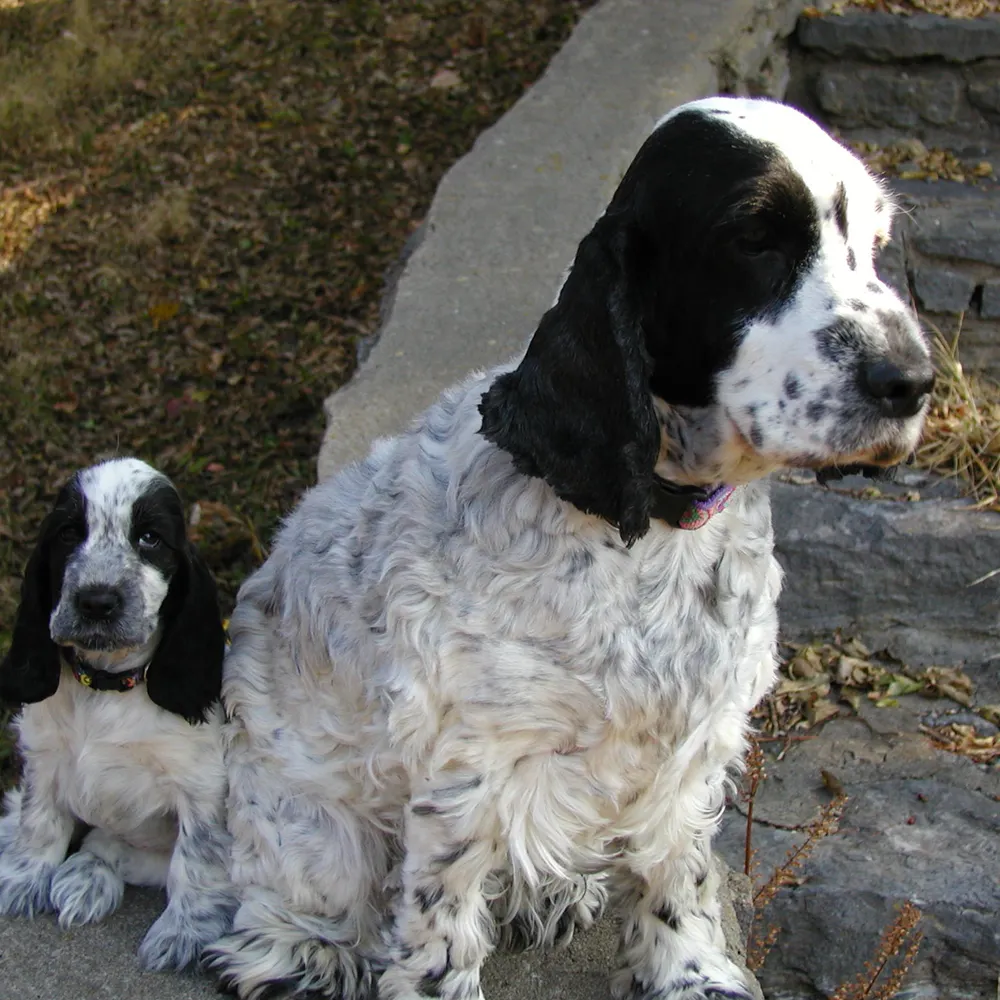 jmohrbsky.bsky.social's profile picture