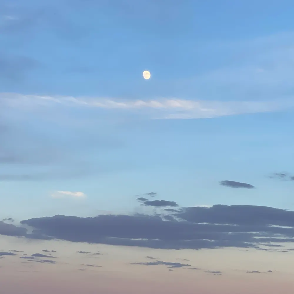 jenniferyvette.bsky.social's profile picture