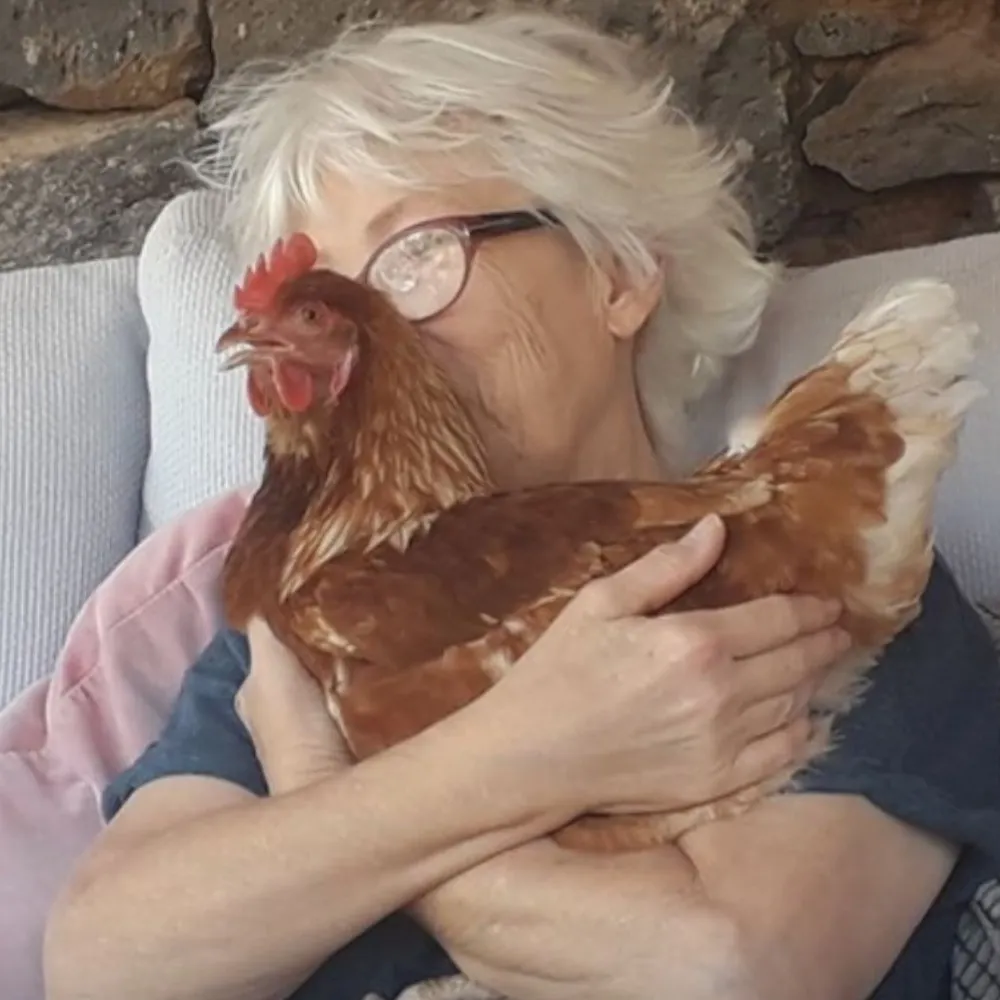 janetanscombe.bsky.social's profile picture