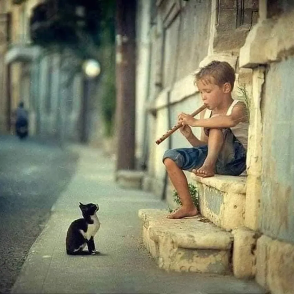 harwitch.bsky.social's profile picture