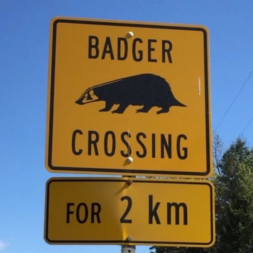 vjm4democracy.bsky.social's profile picture