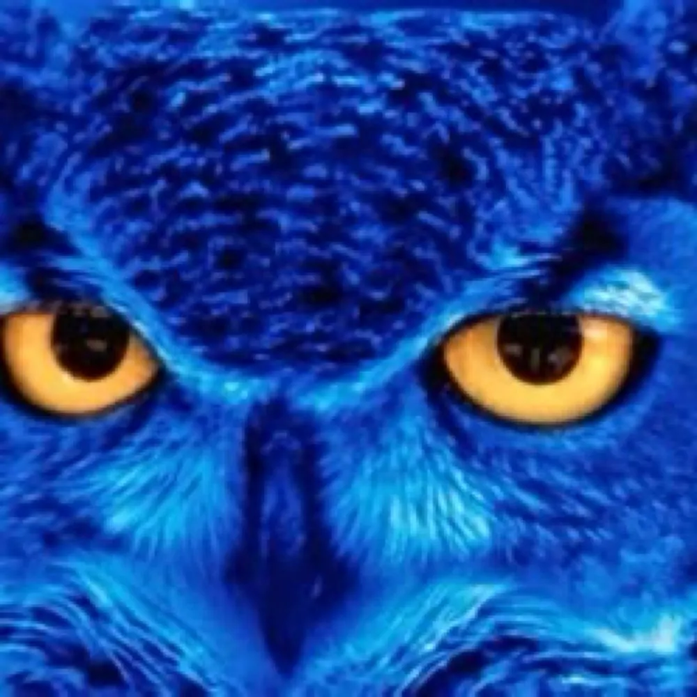 bambabooze.bsky.social's profile picture