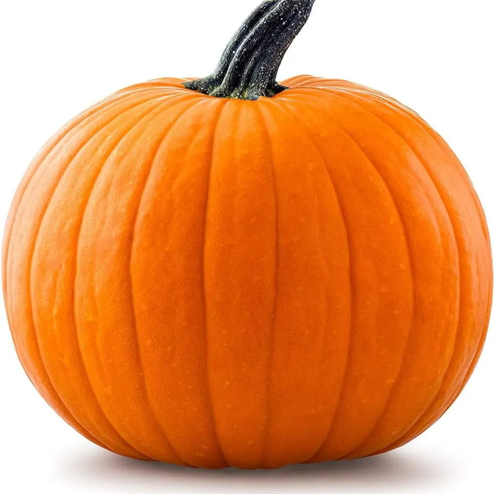 bigolpumpkin.bsky.social's profile picture