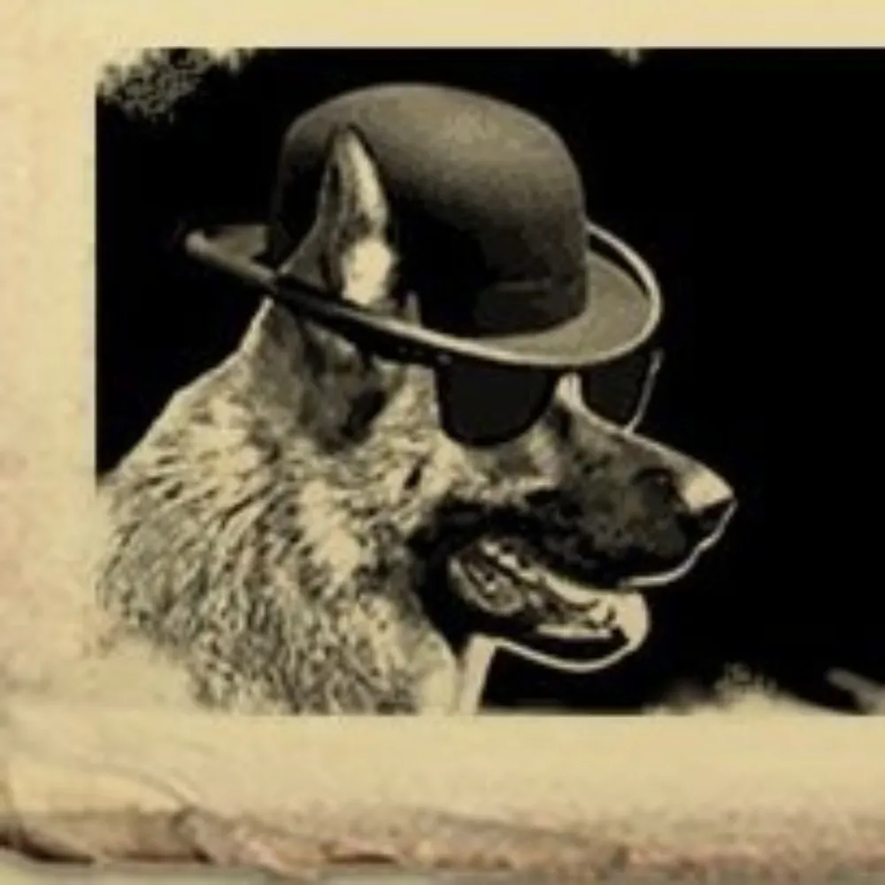 goodcitizen.bsky.social's profile picture