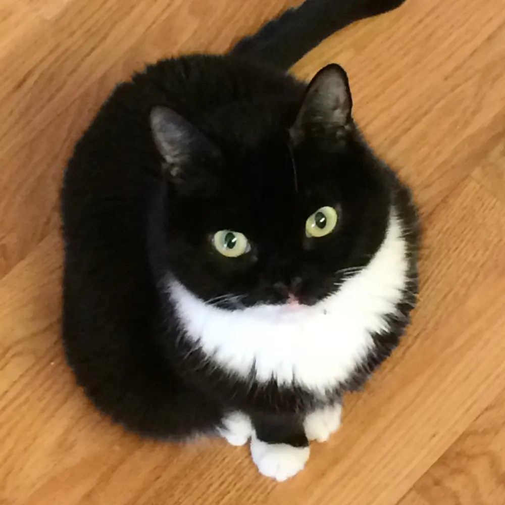 withinreasonvmd.bsky.social's profile picture