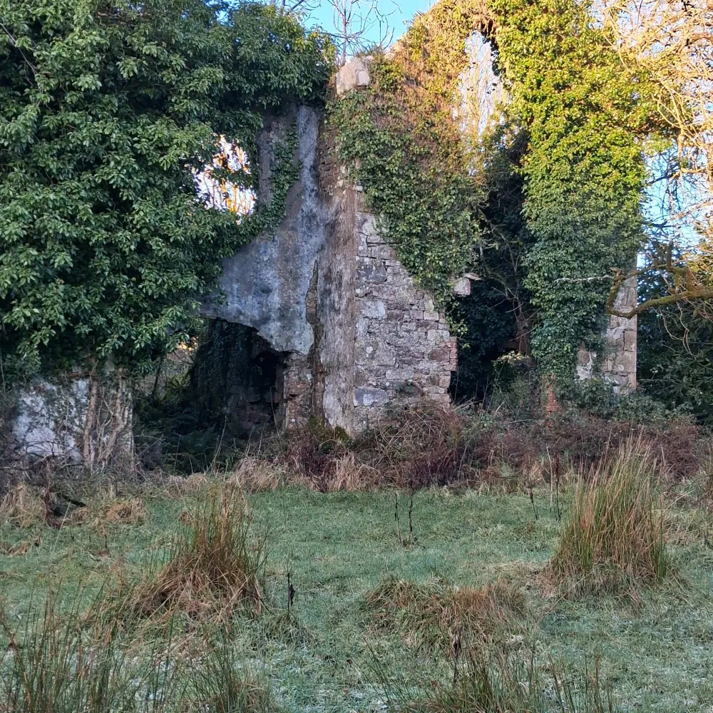 bruscar66.bsky.social's profile picture