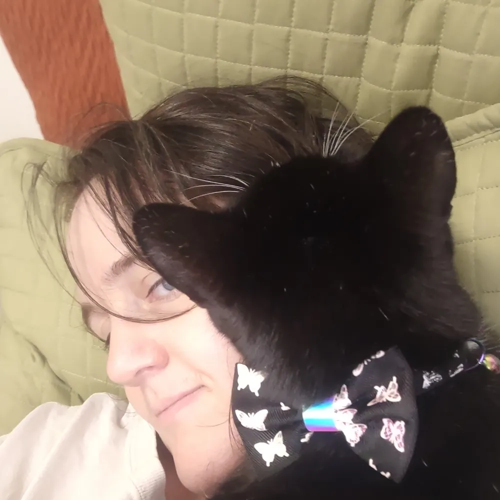 cats6218.bsky.social's profile picture