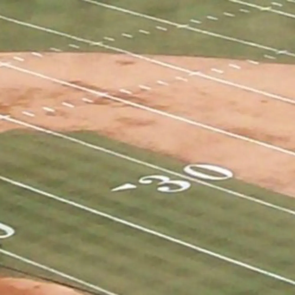 patsfb.bsky.social's profile picture