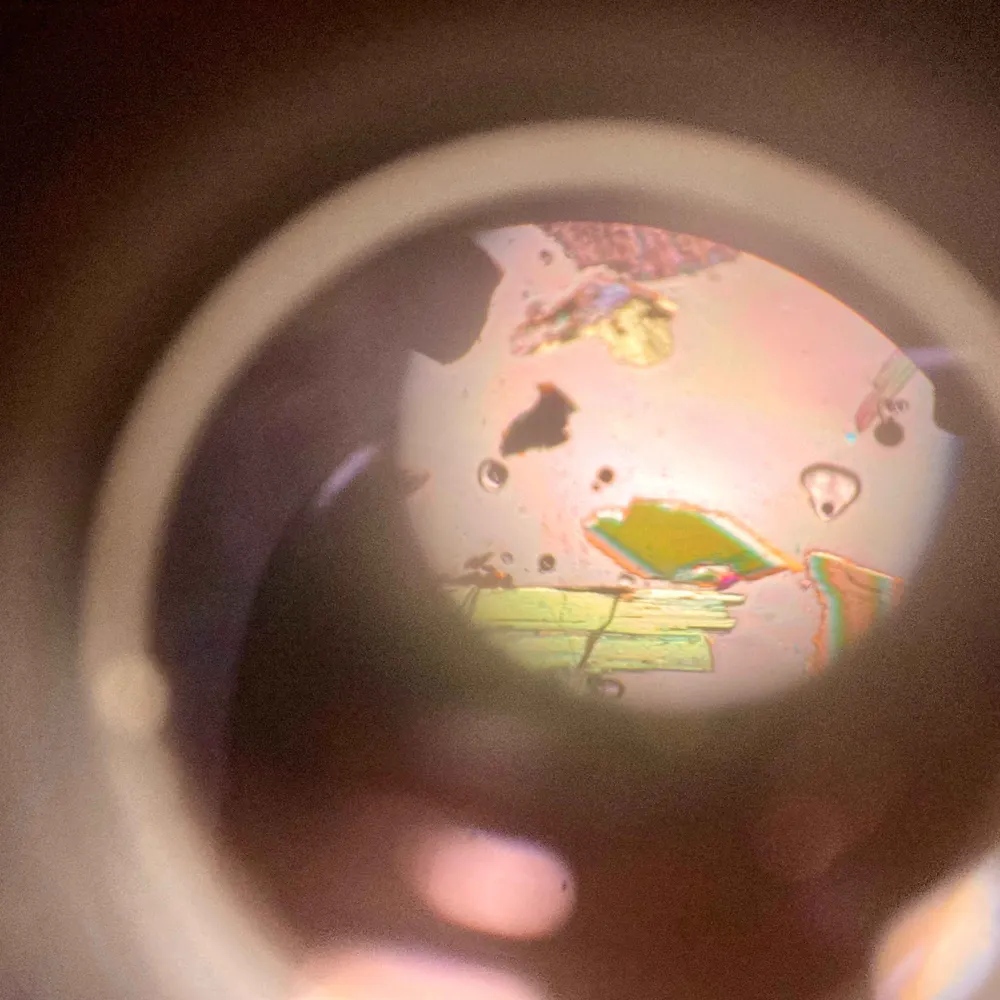 allisonlevin.bsky.social's profile picture