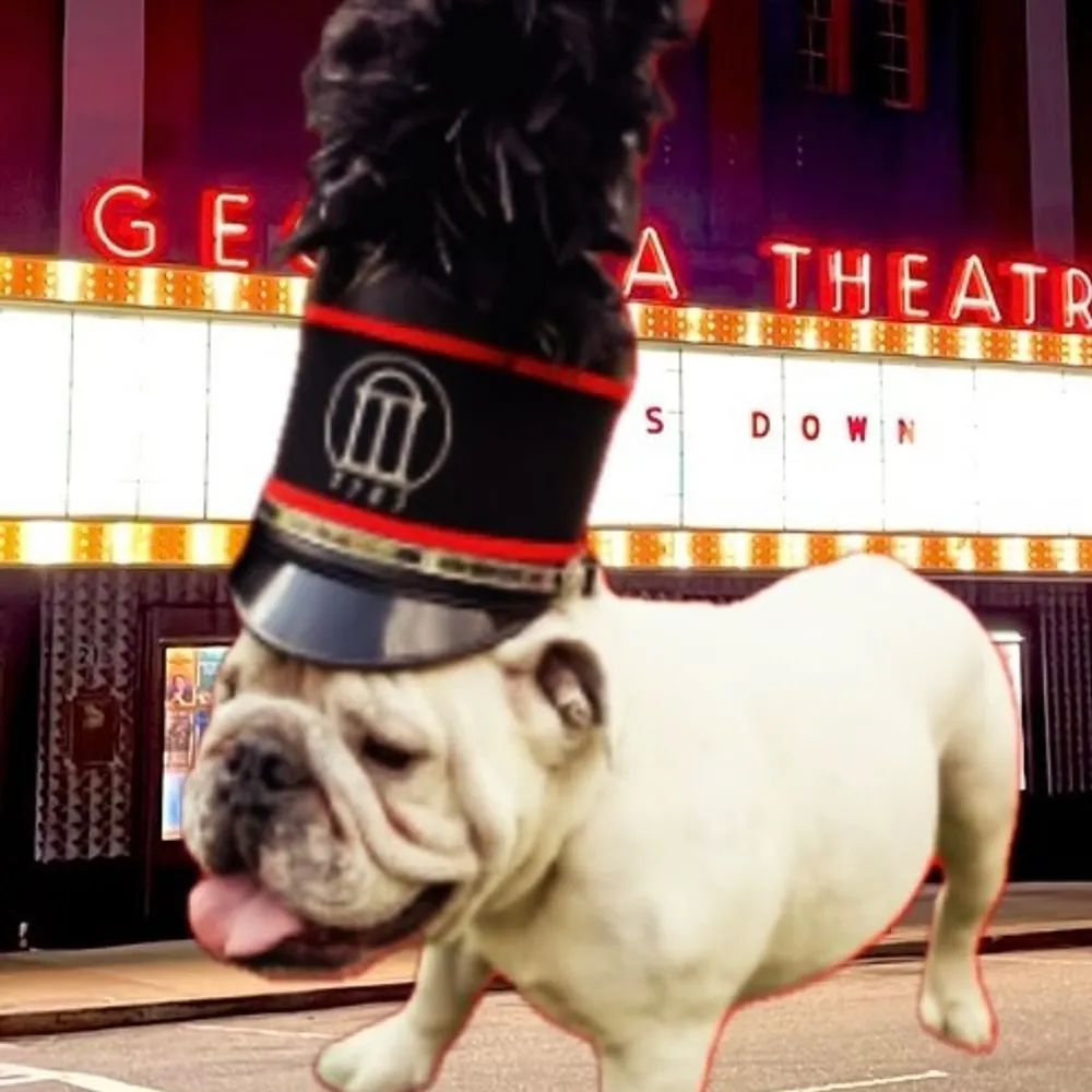 stoopnagle.bsky.social's profile picture