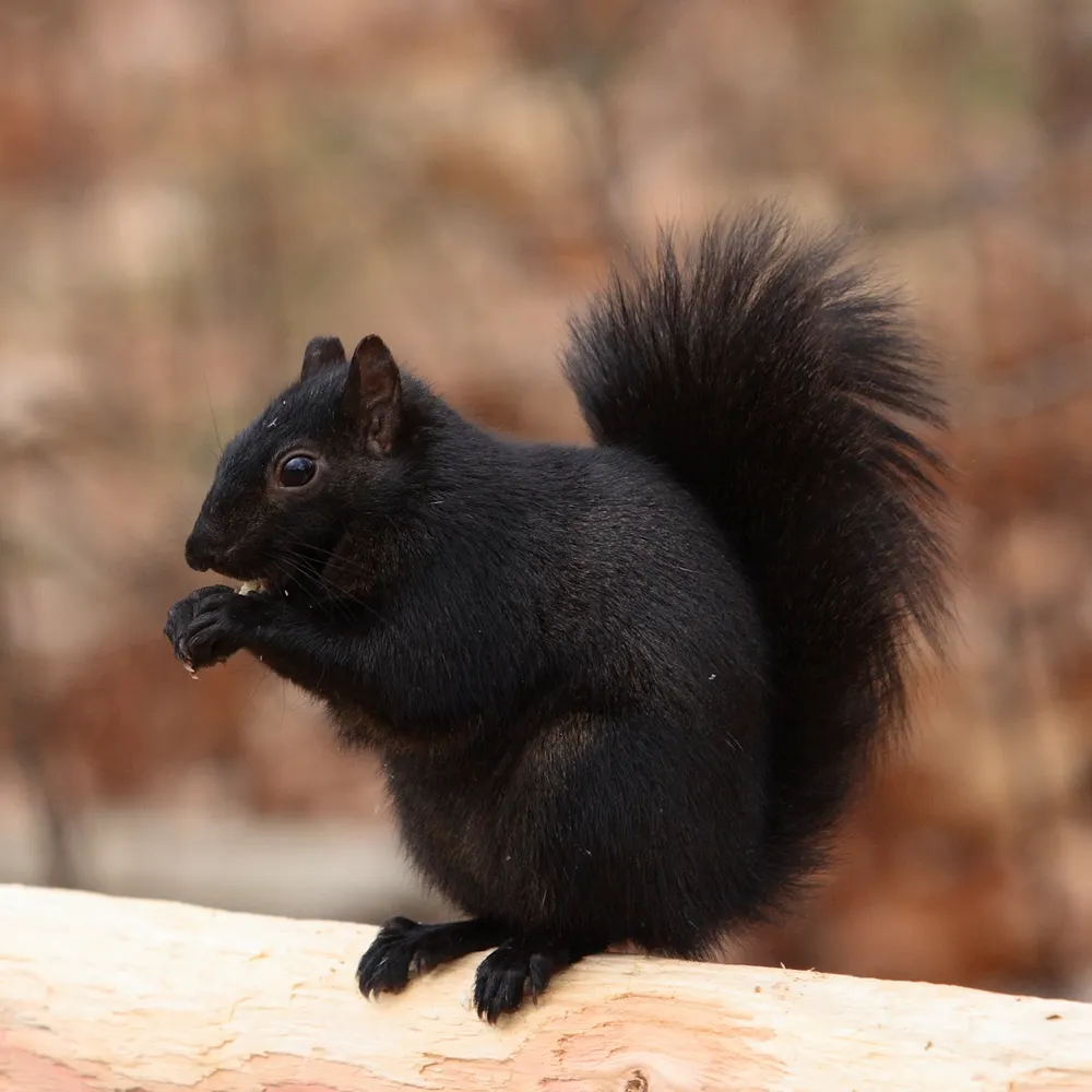 adriana1o5.bsky.social's profile picture