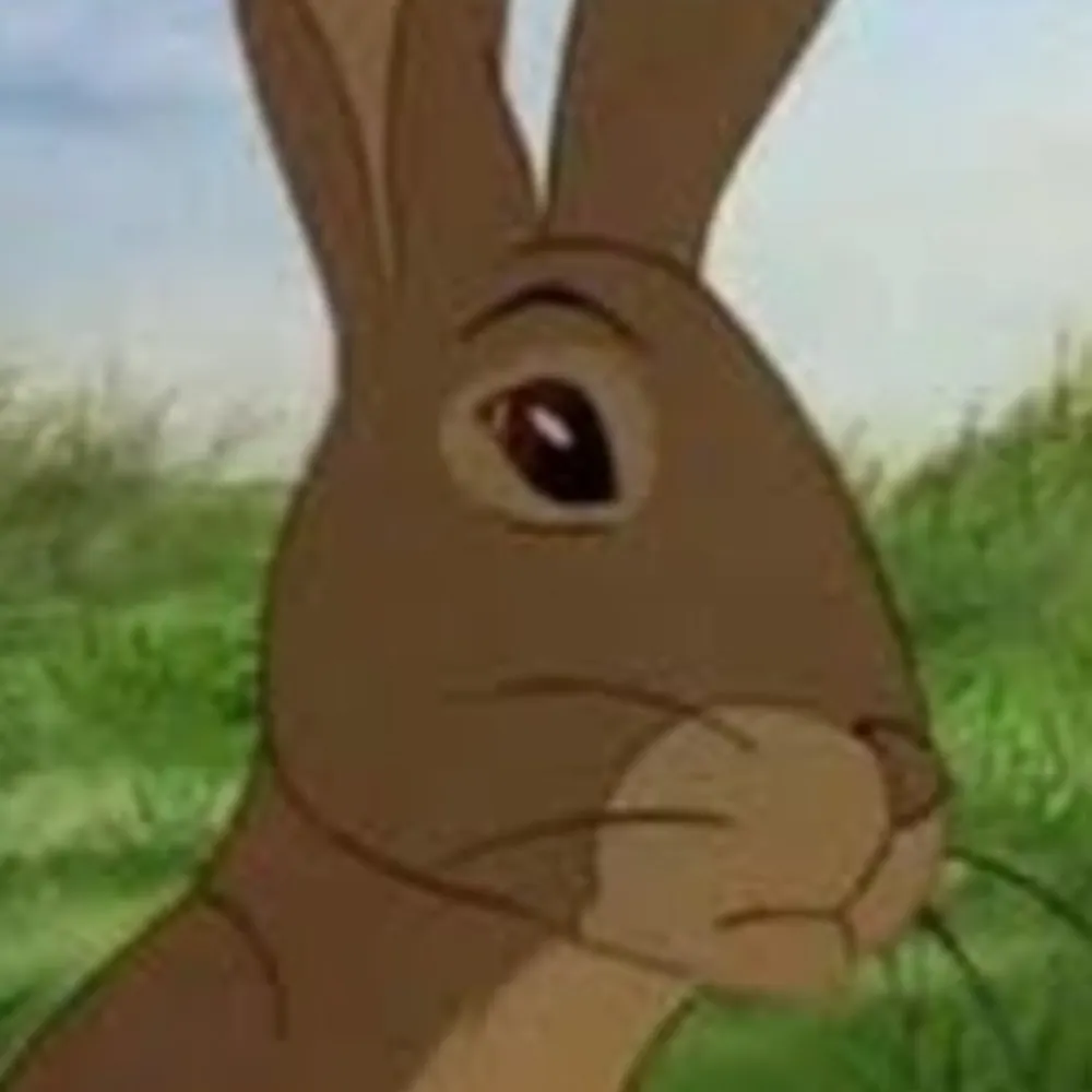 rowsbywf.bsky.social's profile picture