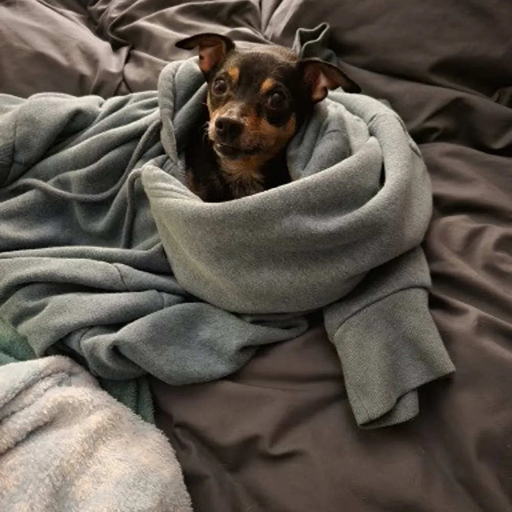 gialeigh.bsky.social's profile picture