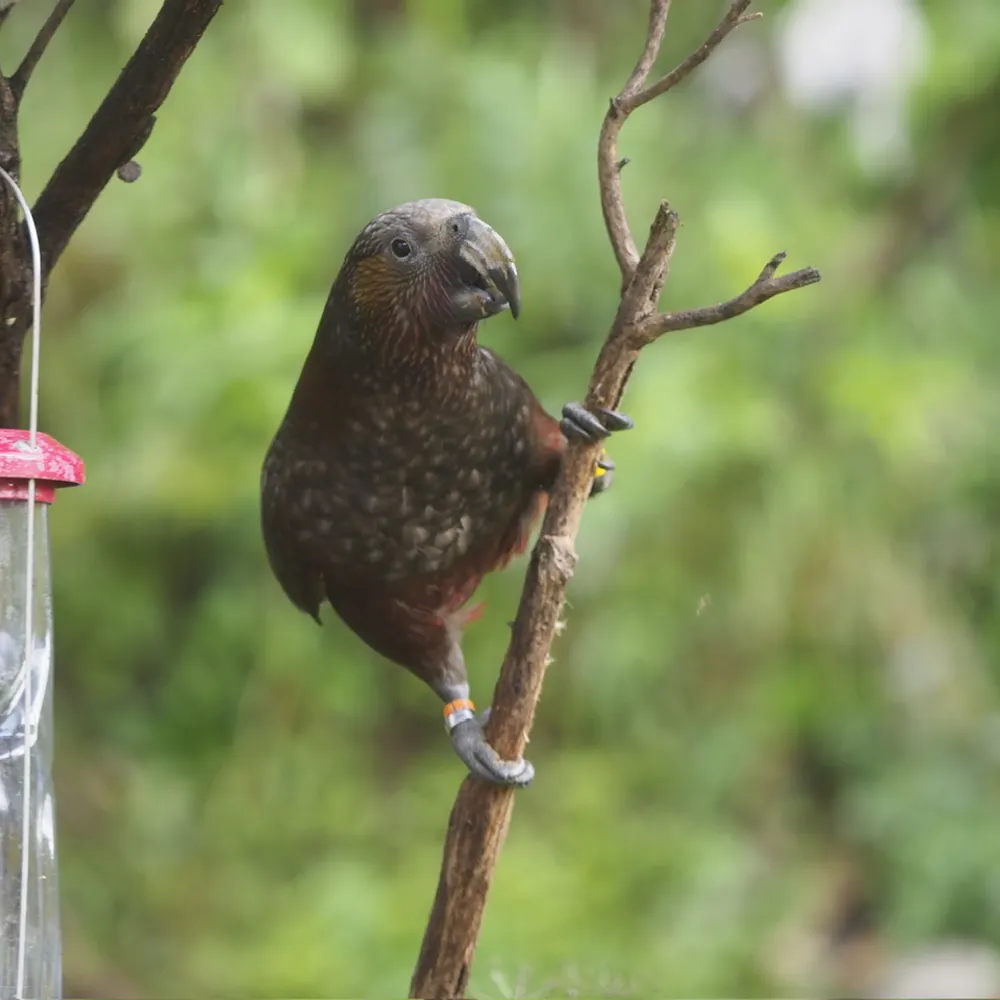 hroethgar.bsky.social's profile picture