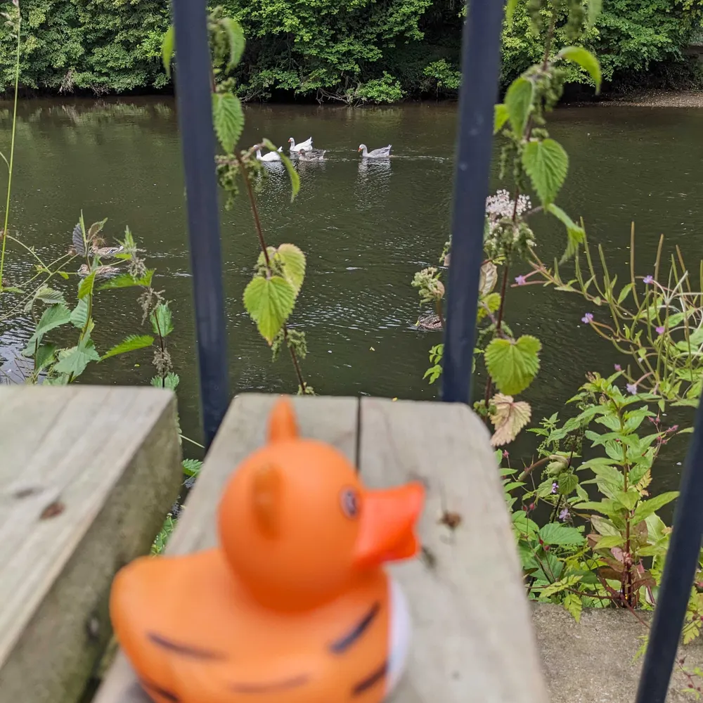 carriejacobson.bsky.social's profile picture