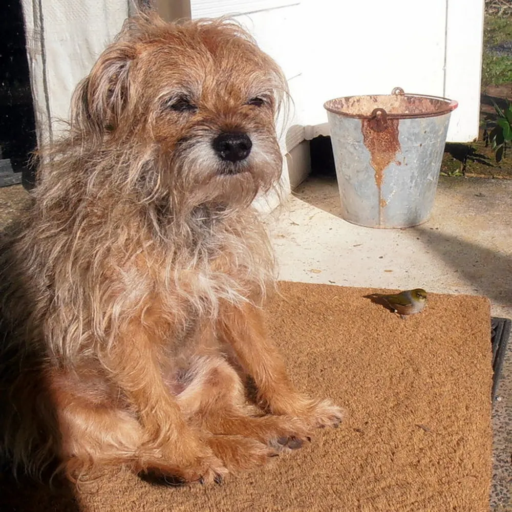 rlmrdlnz.bsky.social's profile picture