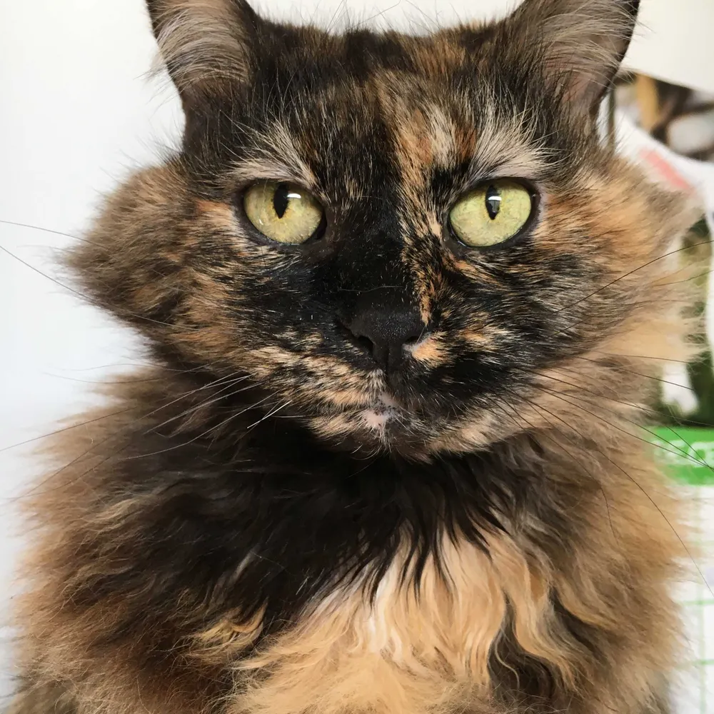 janina31.bsky.social's profile picture