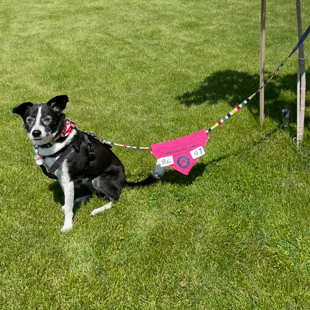 missflangerhanger.bsky.social's profile picture