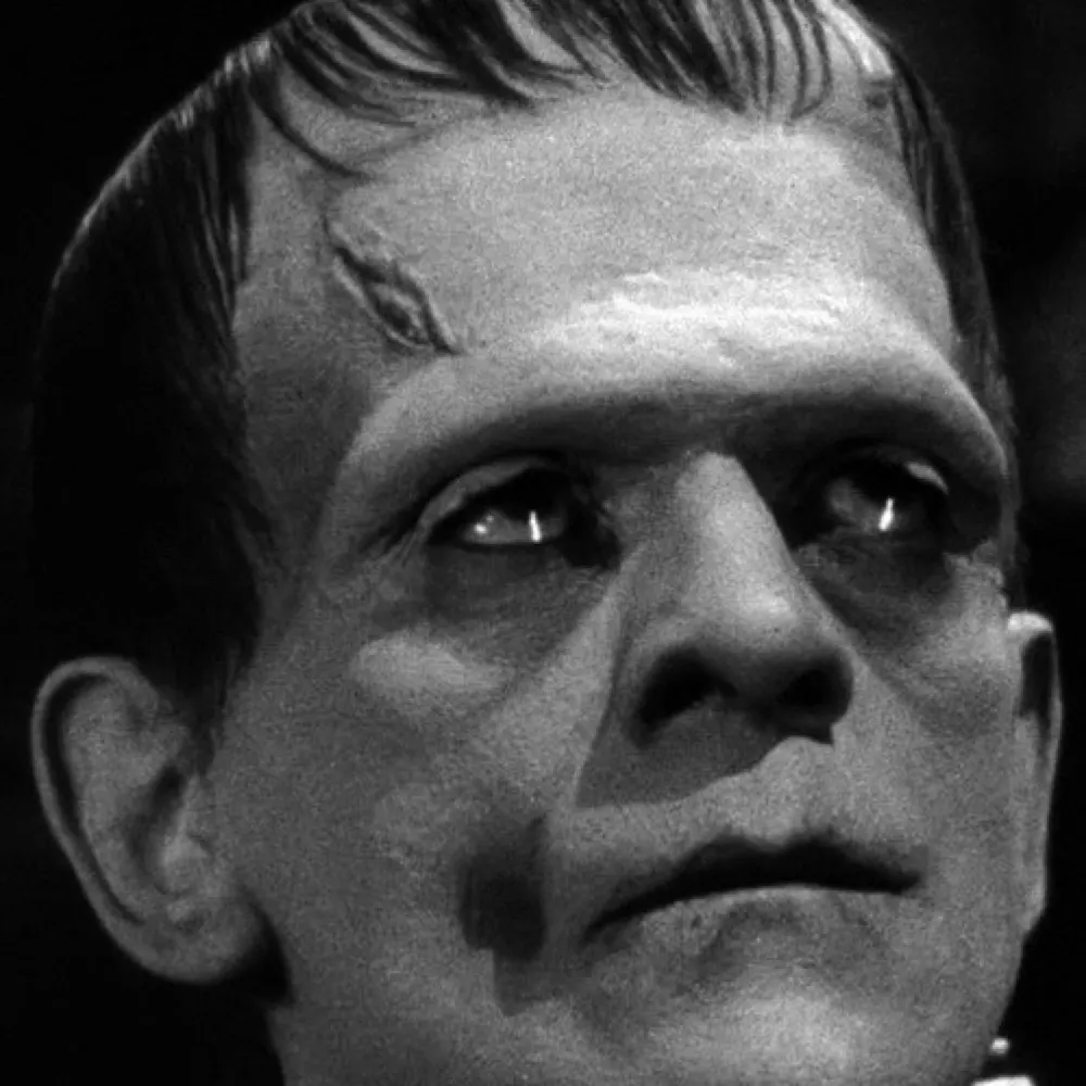 boris3324.bsky.social's profile picture