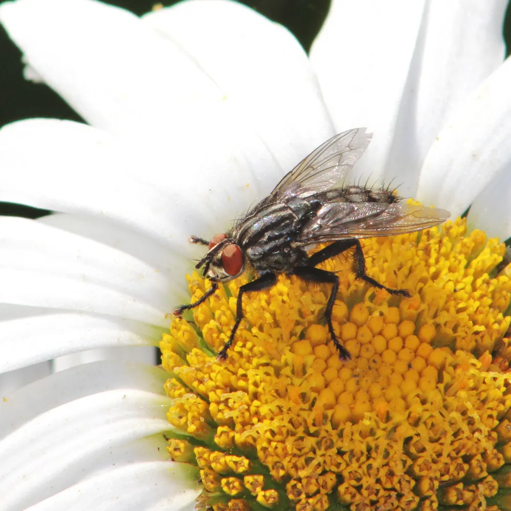 rob-baron.bsky.social's profile picture