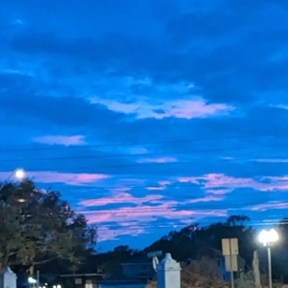 biarritz45.bsky.social's profile picture