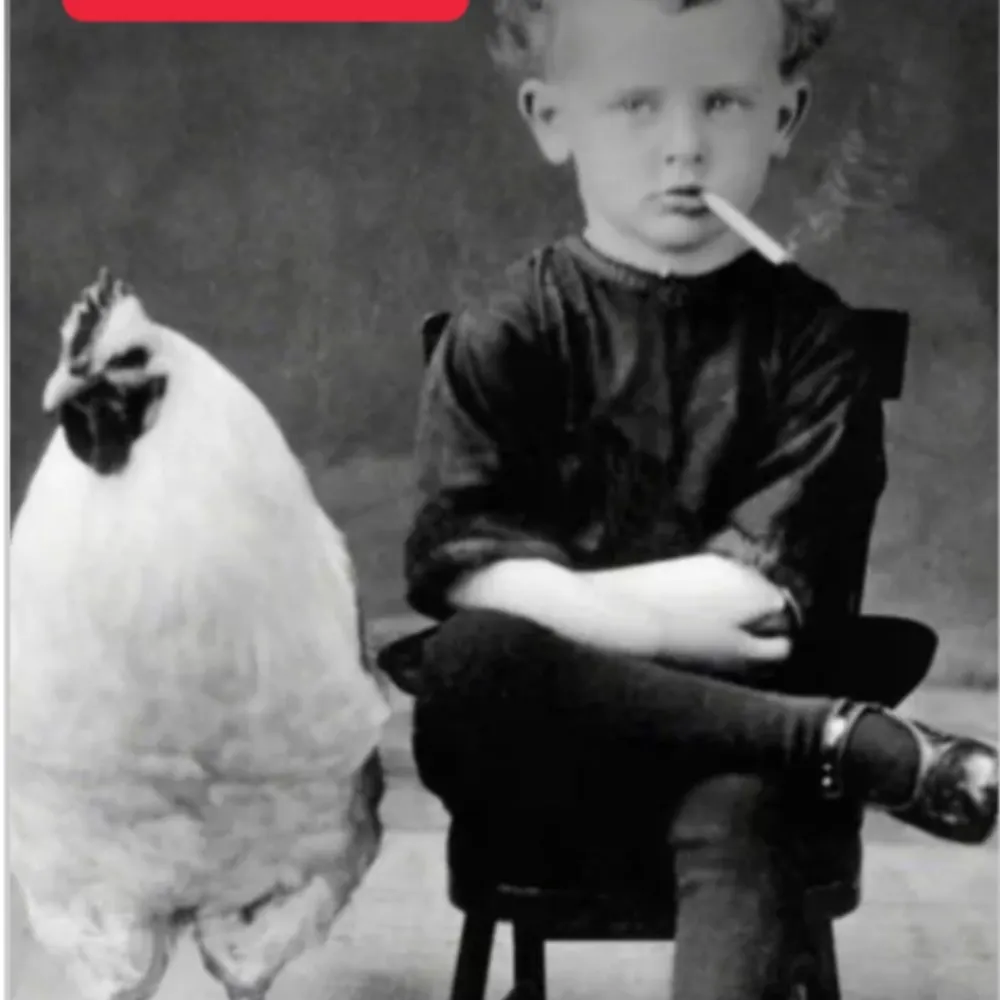 boomer1953.bsky.social's profile picture