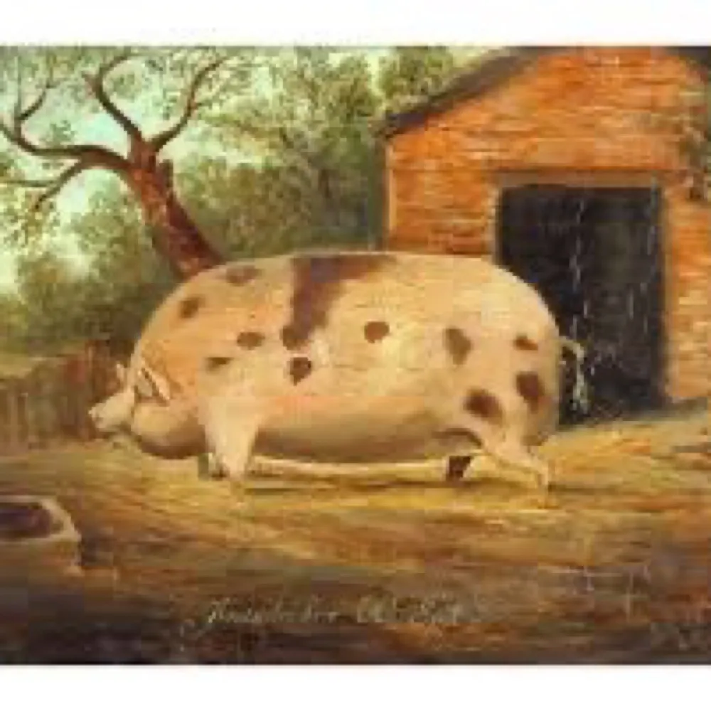 oldspot.bsky.social's profile picture