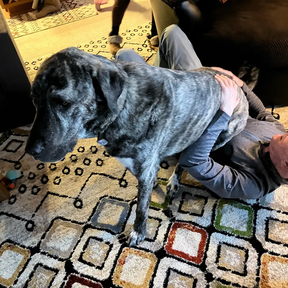 k-koff.bsky.social's profile picture