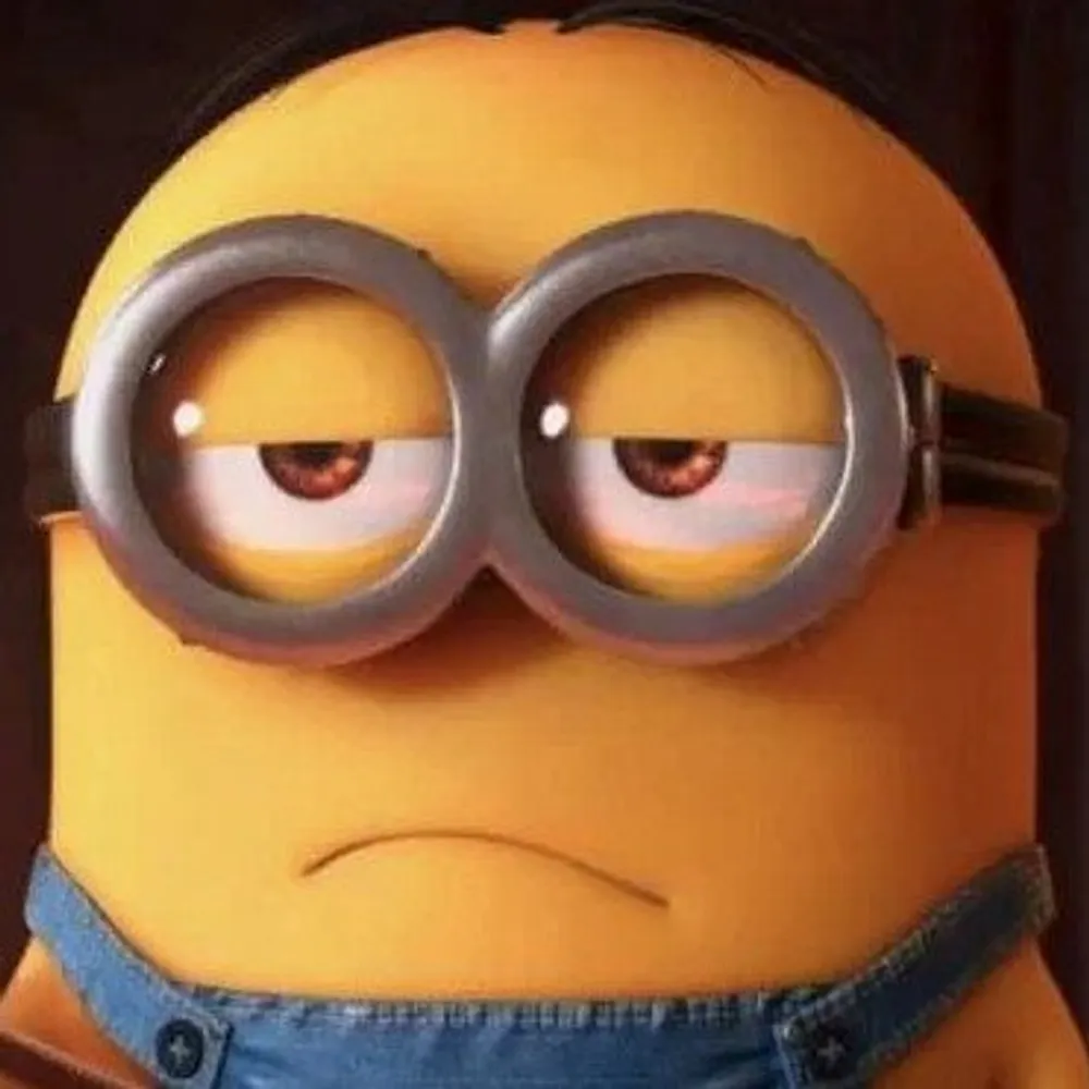 wowbaggert.bsky.social's profile picture