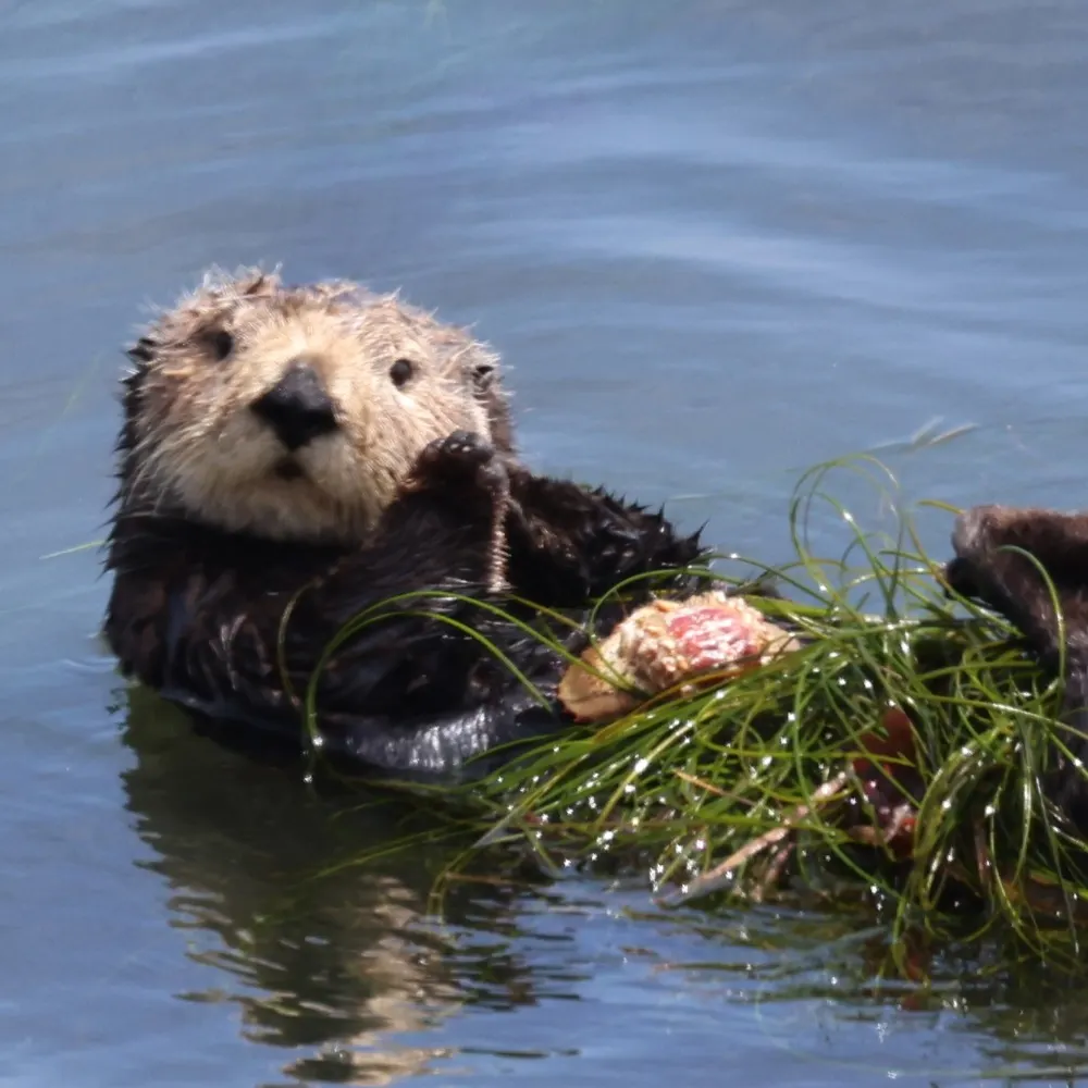 dustinmulvaney.bsky.social's profile picture