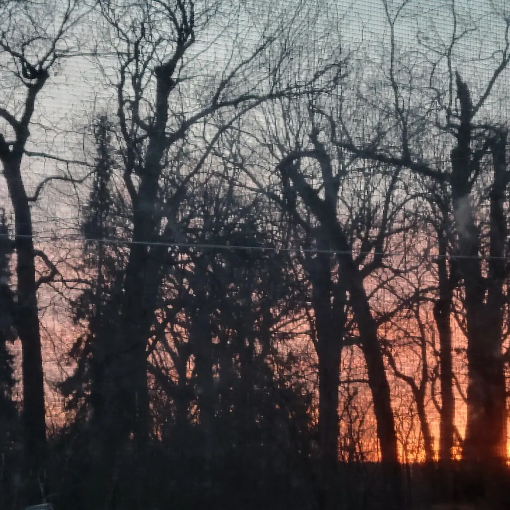 eulalialilith.bsky.social's profile picture