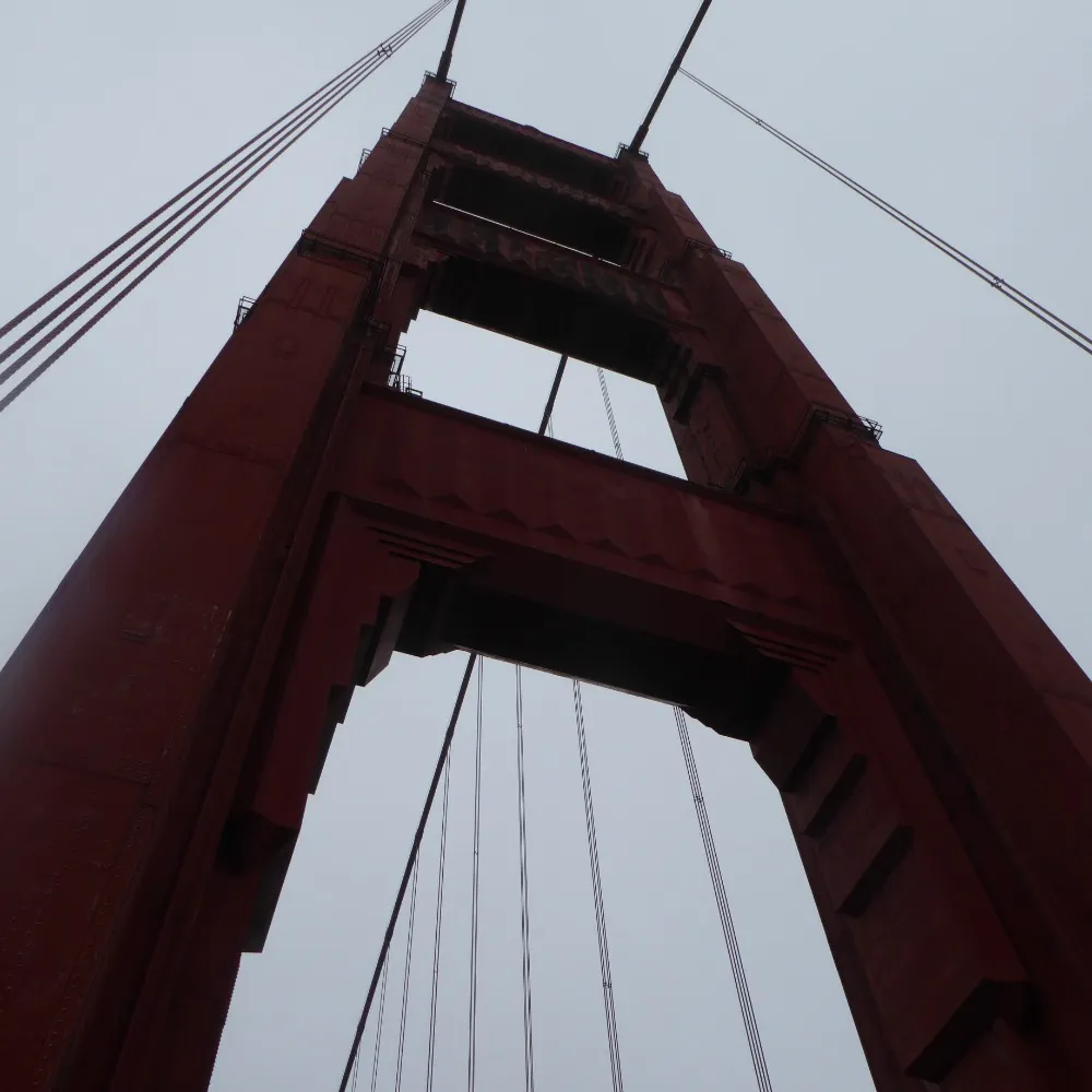 andrewtinsley.bsky.social's profile picture