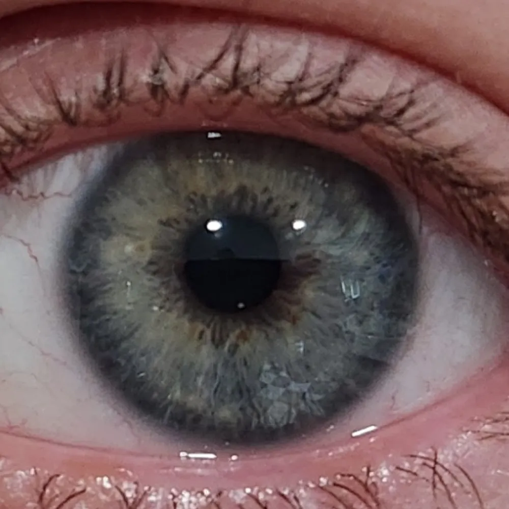 alexandramcdonell.bsky.social's profile picture