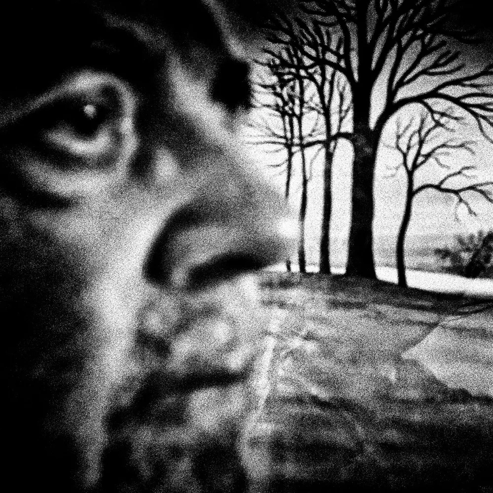 eddywhite.bsky.social's profile picture