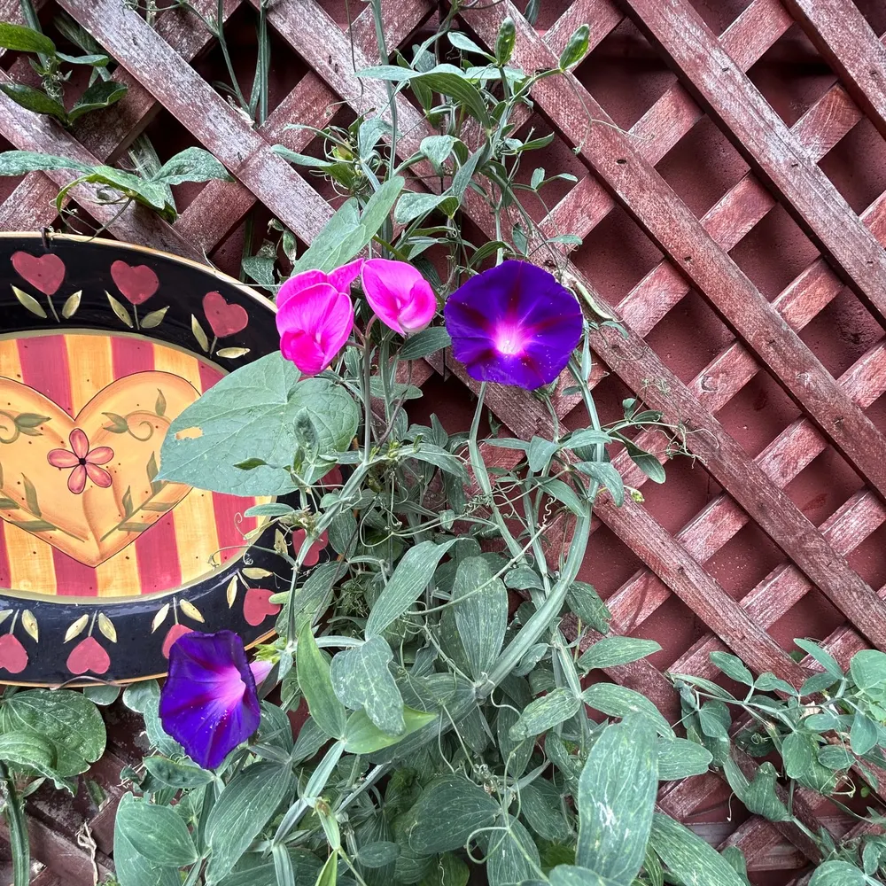 1rmctldy.bsky.social's profile picture