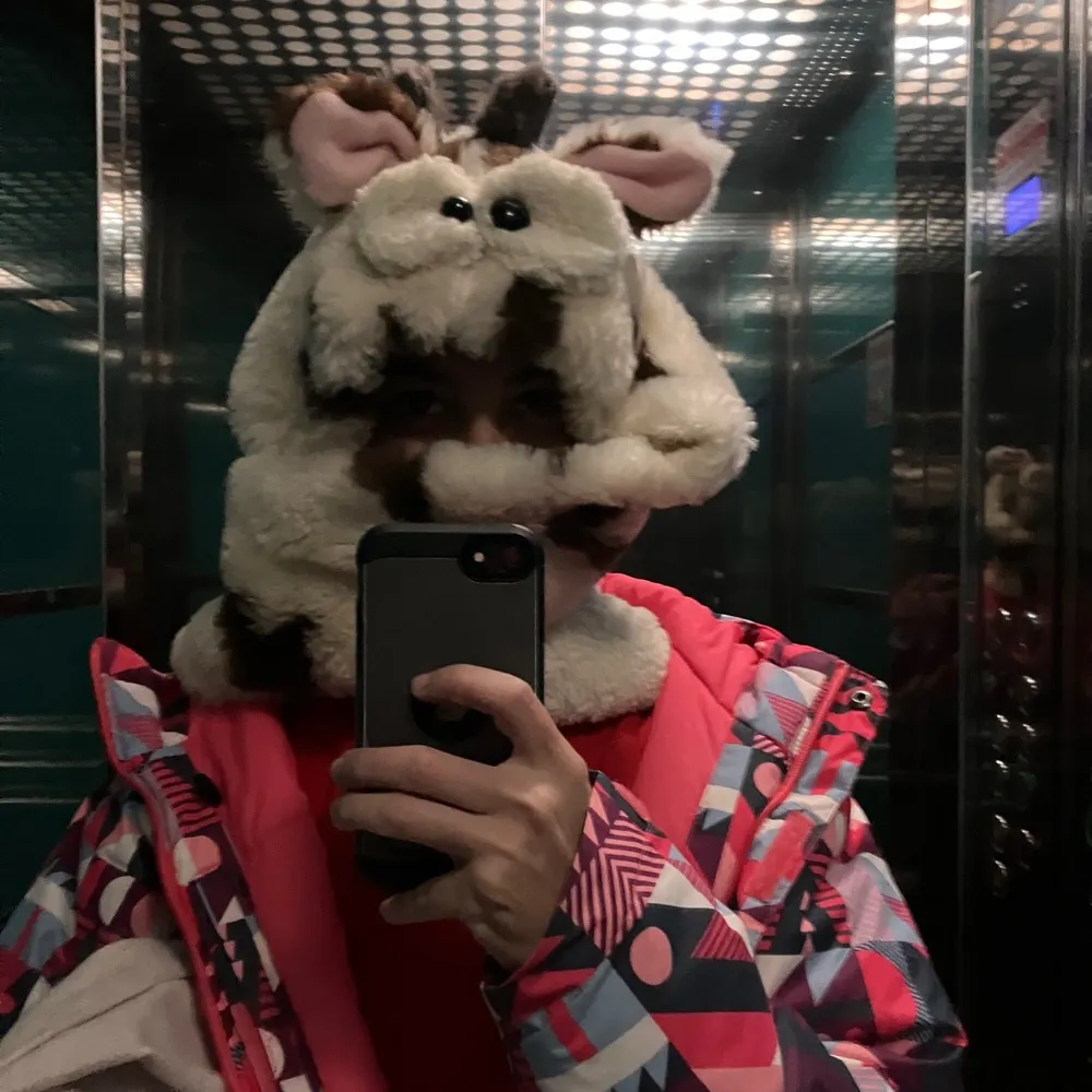 picvisne.bsky.social's profile picture