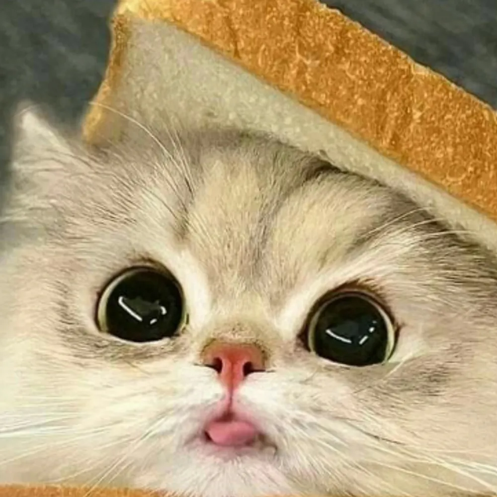 kriffin.bsky.social's profile picture