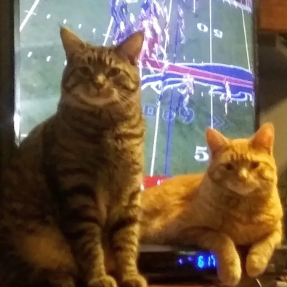 dashingdrewster.bsky.social's profile picture