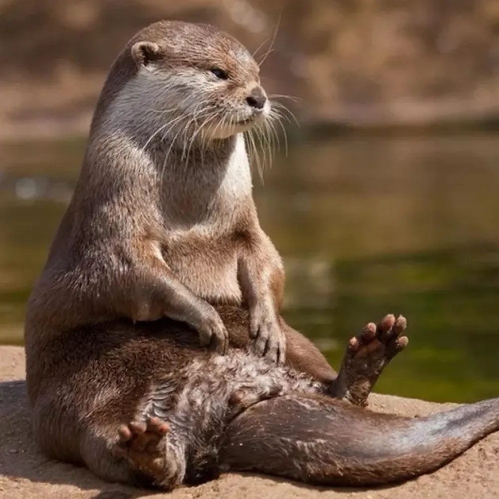 ellan75.bsky.social's profile picture