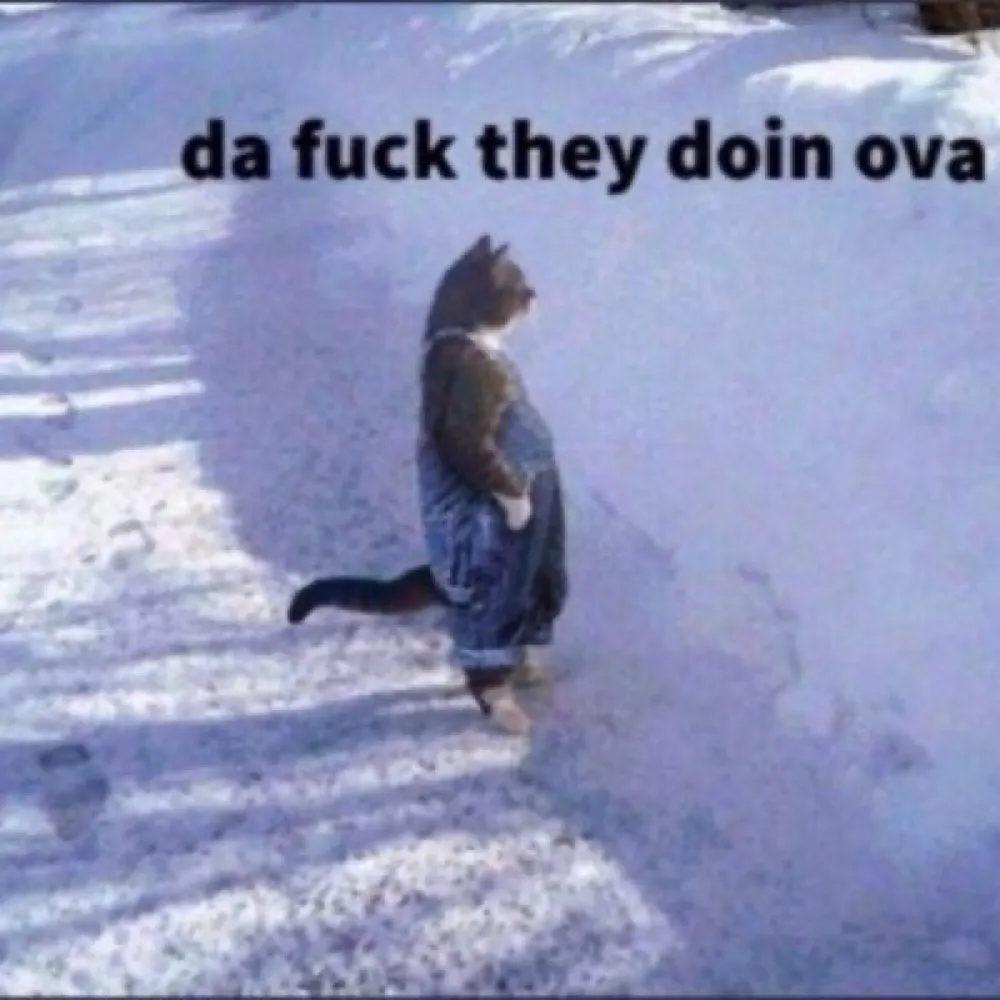 ayepodz.bsky.social's profile picture