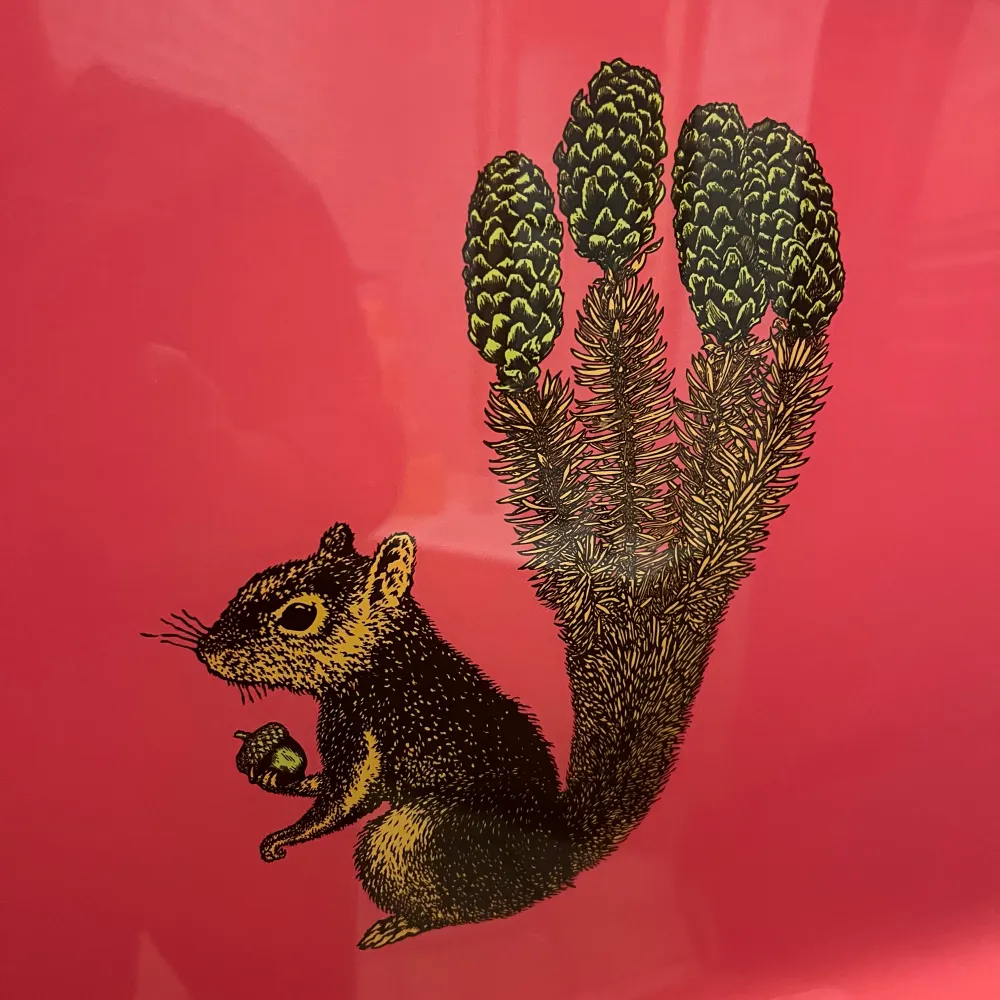 tummy-aches.bsky.social's profile picture