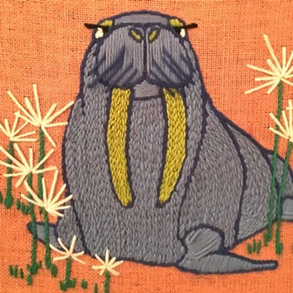 snowbuffalo.bsky.social's profile picture