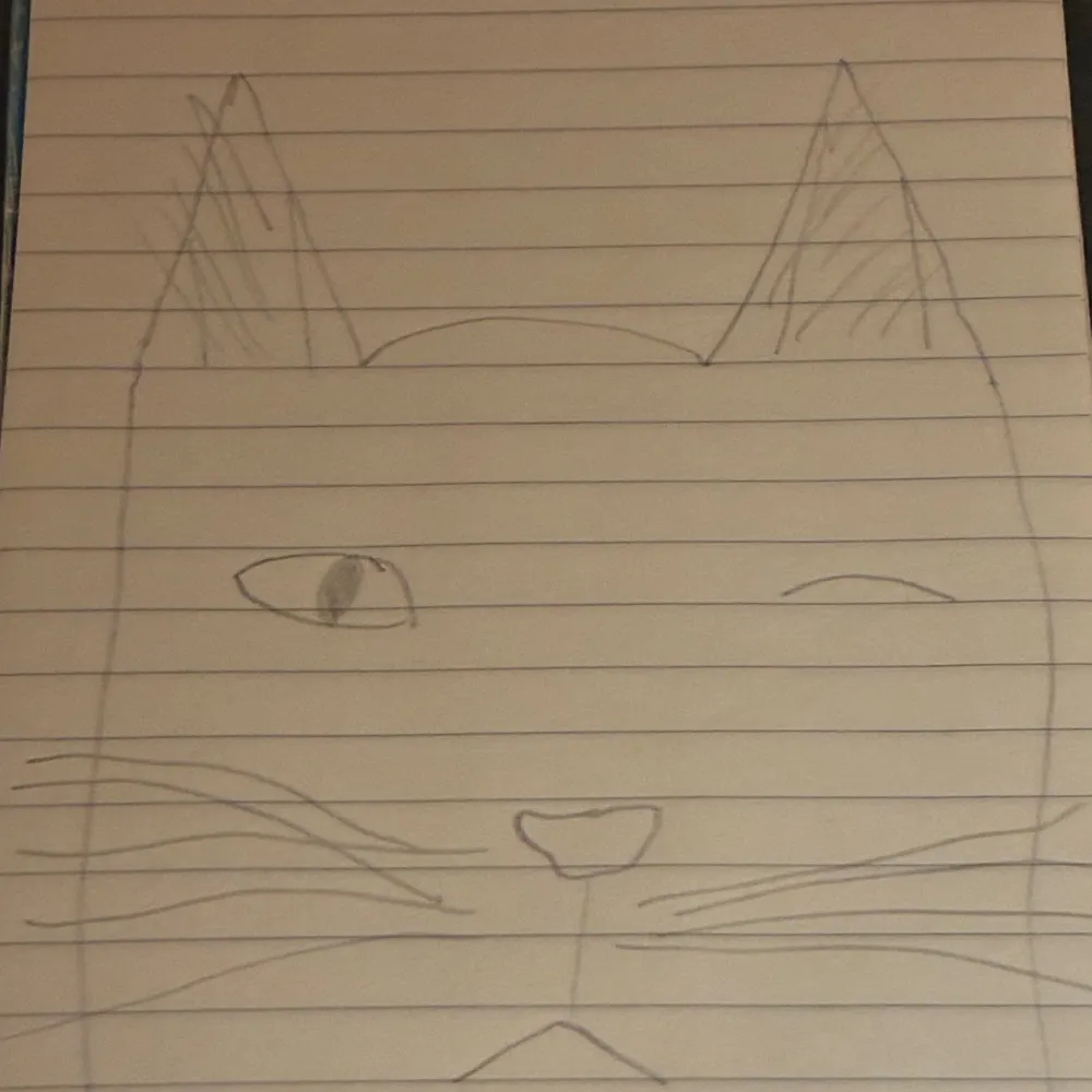 artadmirer.bsky.social's profile picture