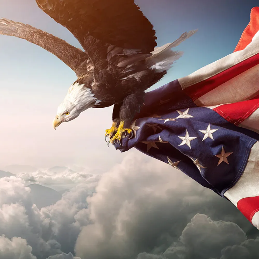 democracy5013.bsky.social's profile picture