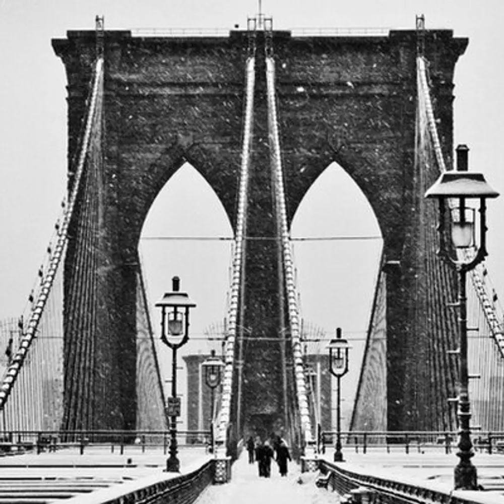 brklynmind.bsky.social's profile picture