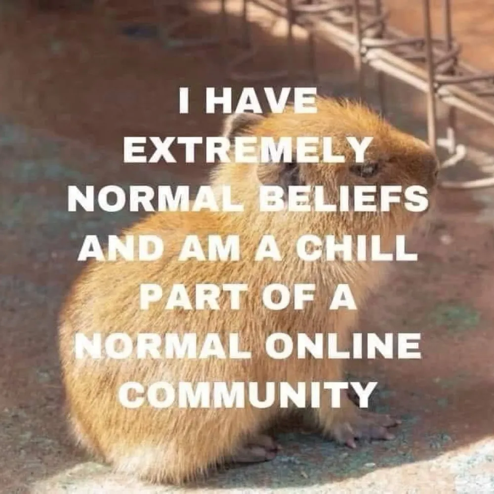 meowchoman.bsky.social's profile picture